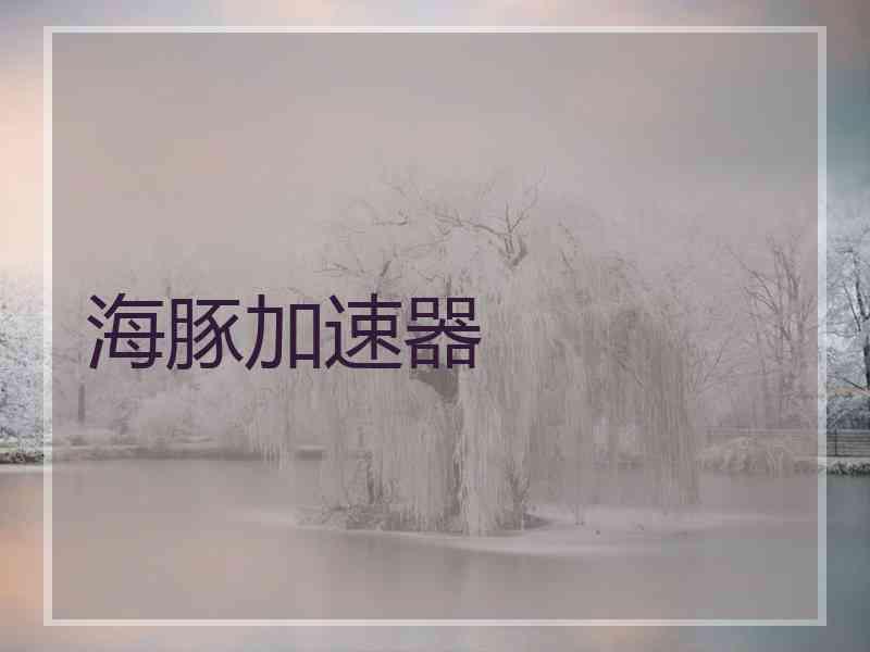 海豚加速器