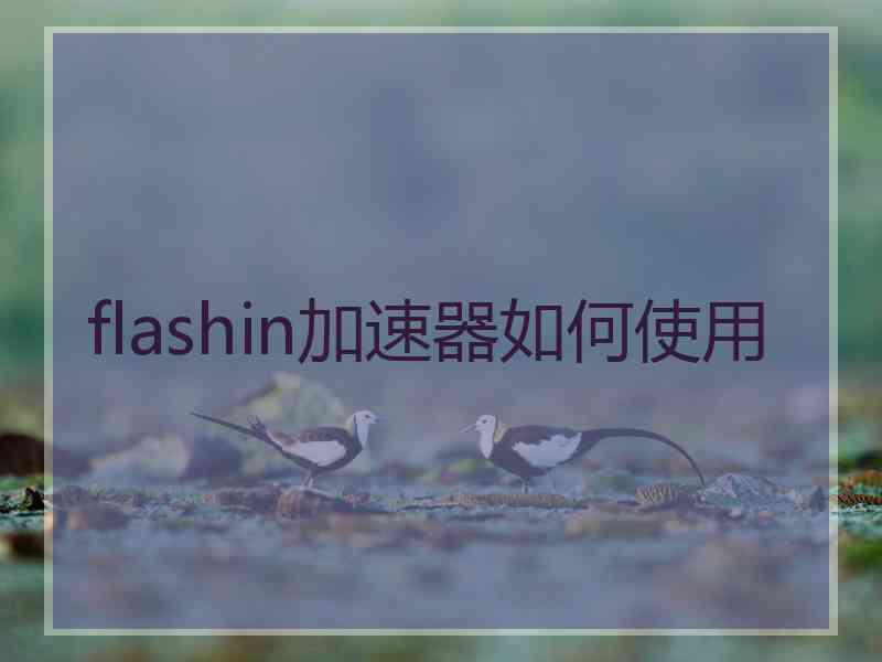 flashin加速器如何使用