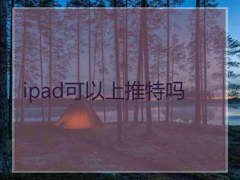 ipad可以上推特吗