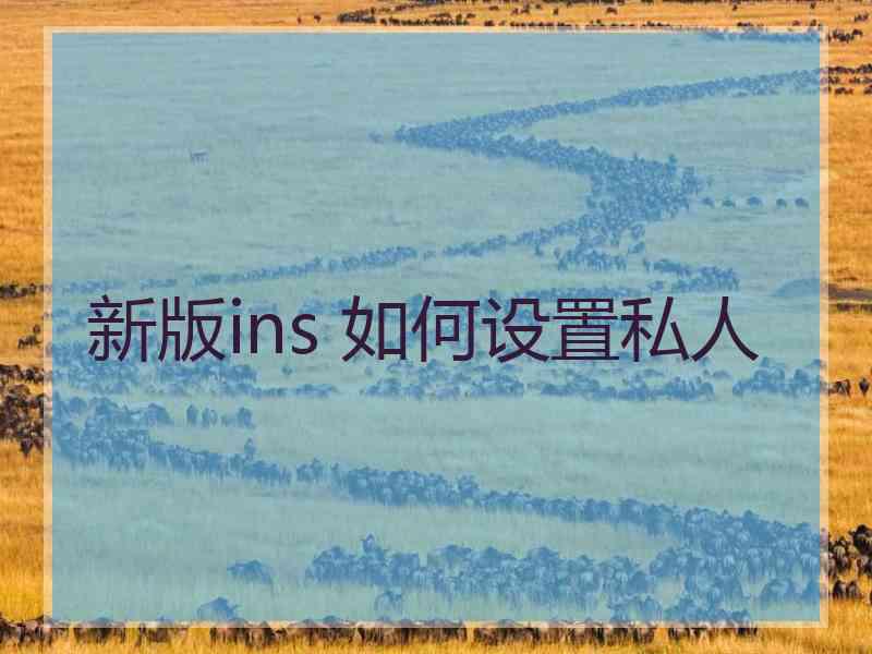 新版ins 如何设置私人