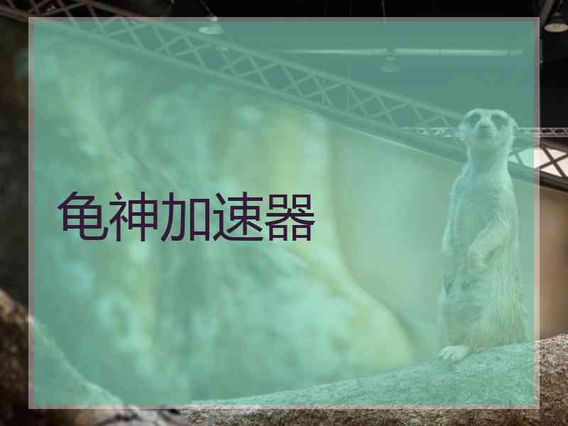 龟神加速器