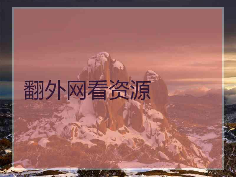 翻外网看资源