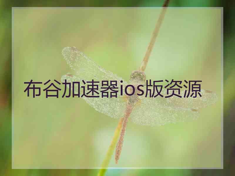布谷加速器ios版资源