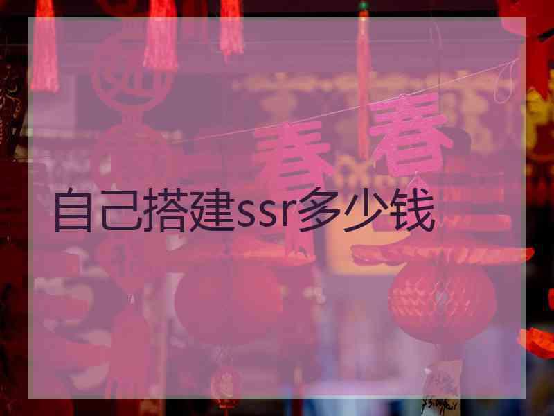 自己搭建ssr多少钱