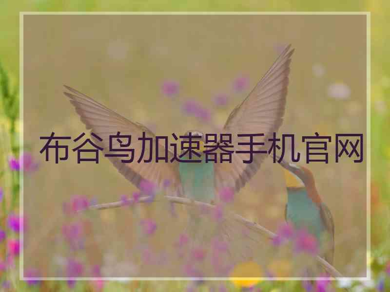 布谷鸟加速器手机官网