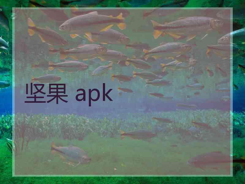 坚果 apk