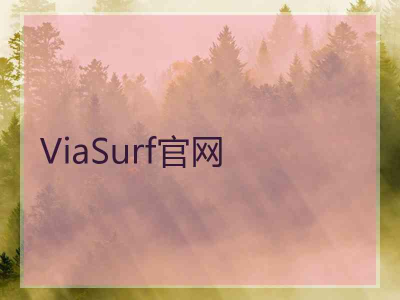 ViaSurf官网