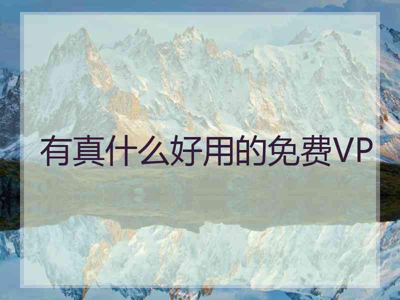 有真什么好用的免费VP