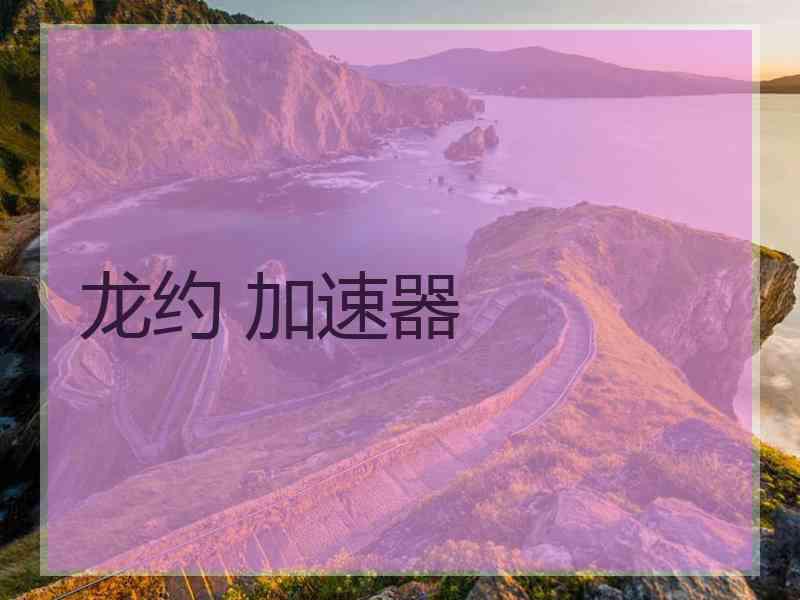 龙约 加速器