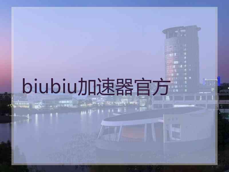 biubiu加速器官方