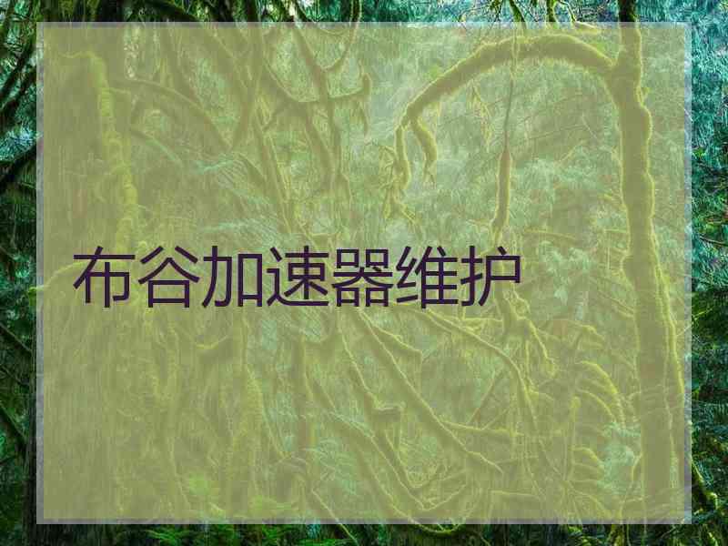 布谷加速器维护