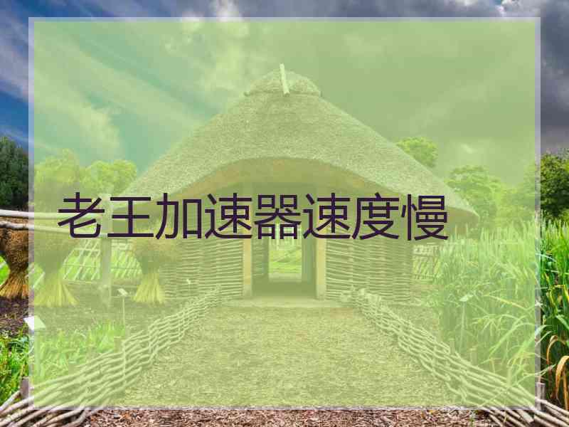 老王加速器速度慢
