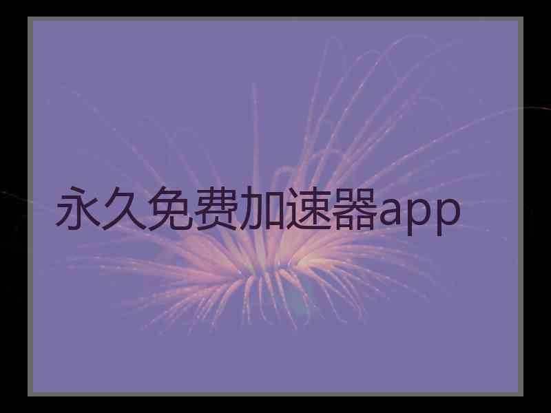 永久免费加速器app