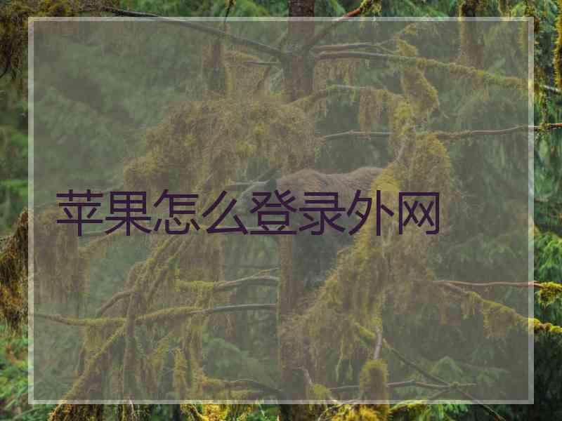 苹果怎么登录外网