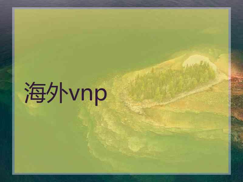 海外vnp