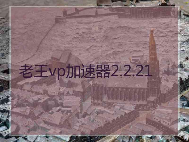 老王vp加速器2.2.21