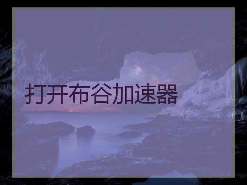 打开布谷加速器