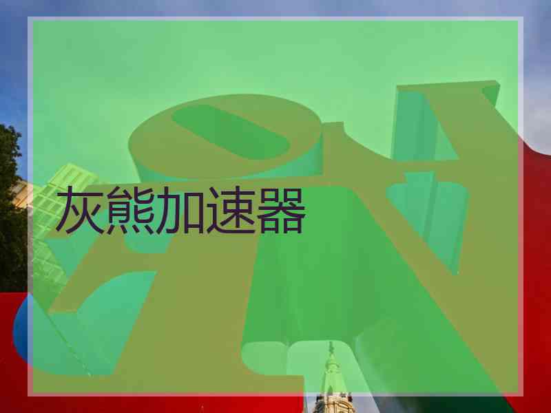 灰熊加速器
