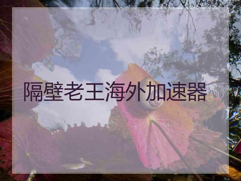 隔壁老王海外加速器