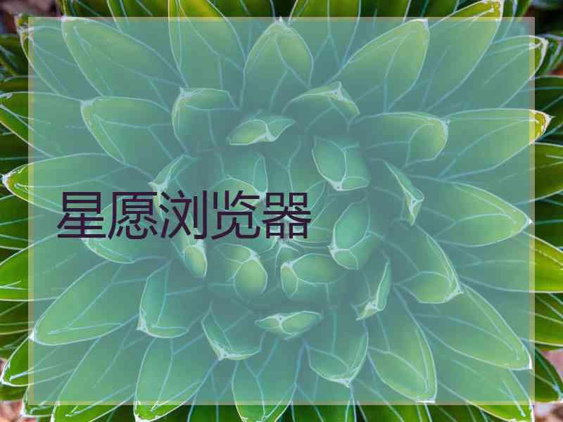 星愿浏览器