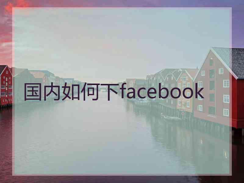 国内如何下facebook