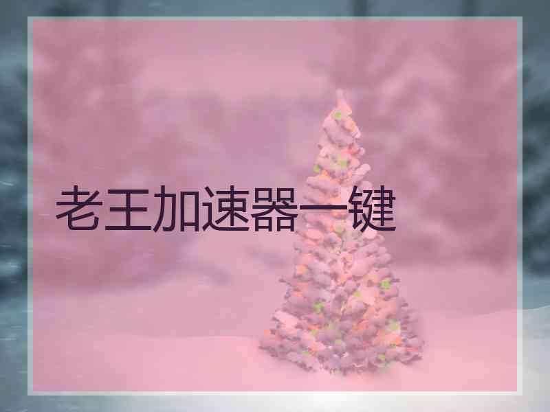老王加速器一键