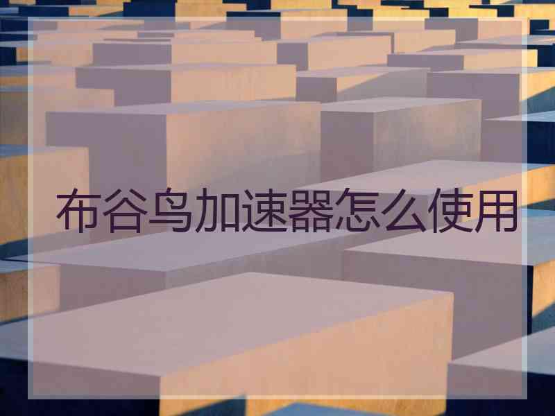 布谷鸟加速器怎么使用