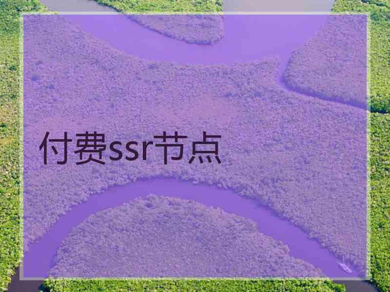 付费ssr节点