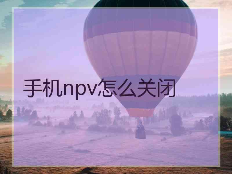 手机npv怎么关闭
