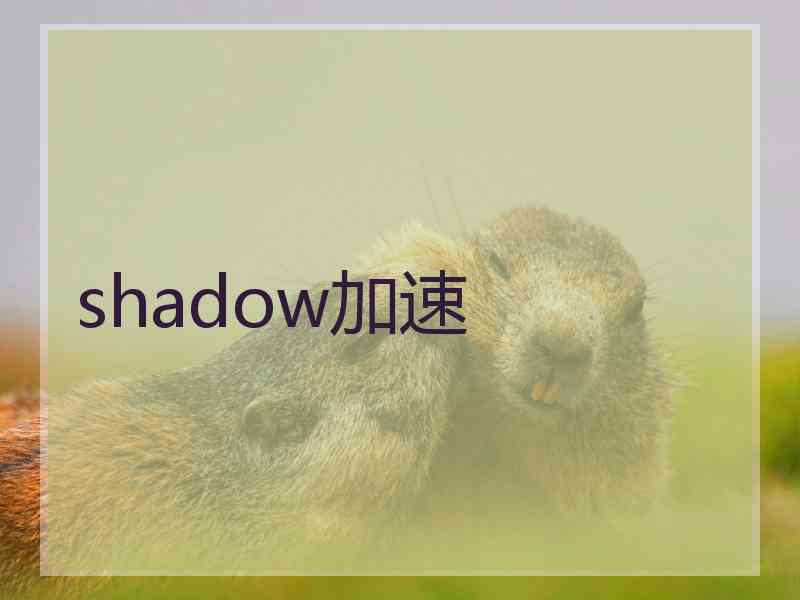 shadow加速