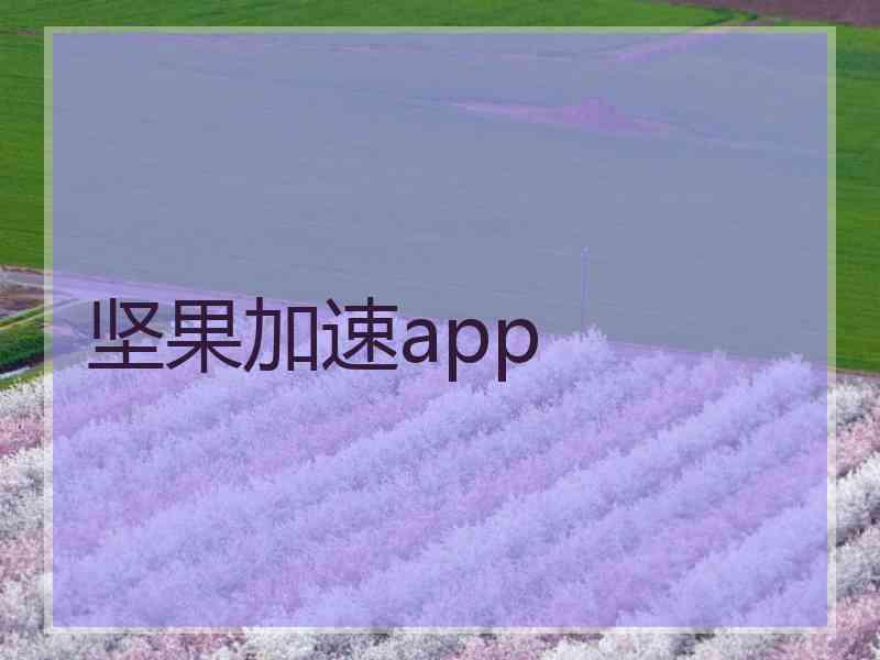 坚果加速app