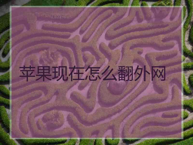 苹果现在怎么翻外网