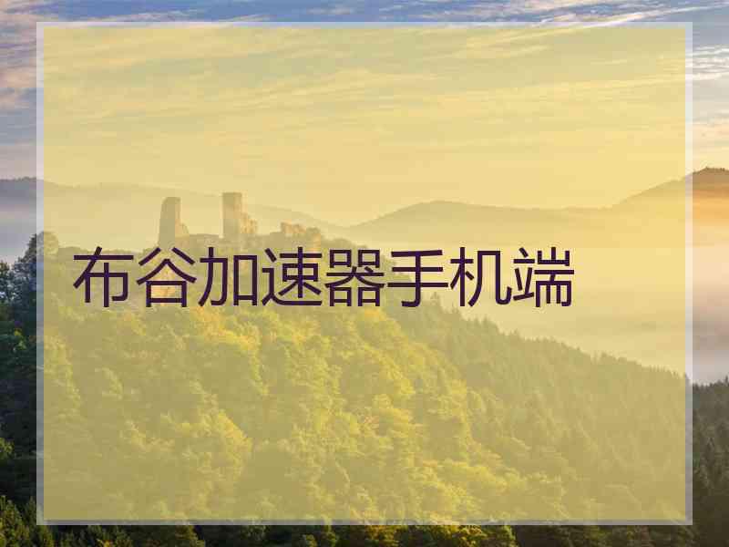 布谷加速器手机端