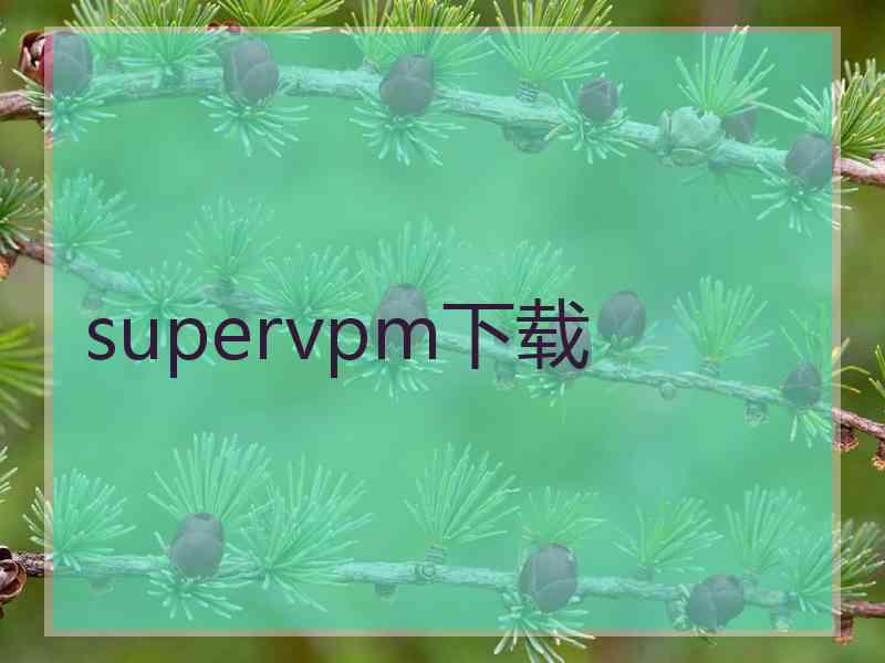 supervpm下载