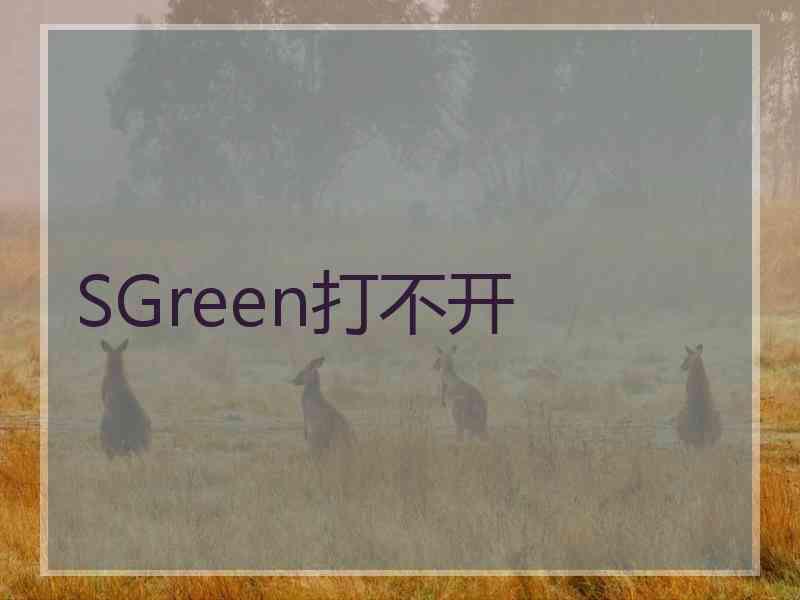 SGreen打不开
