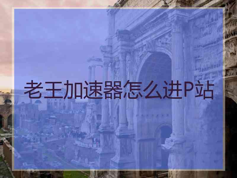 老王加速器怎么进P站