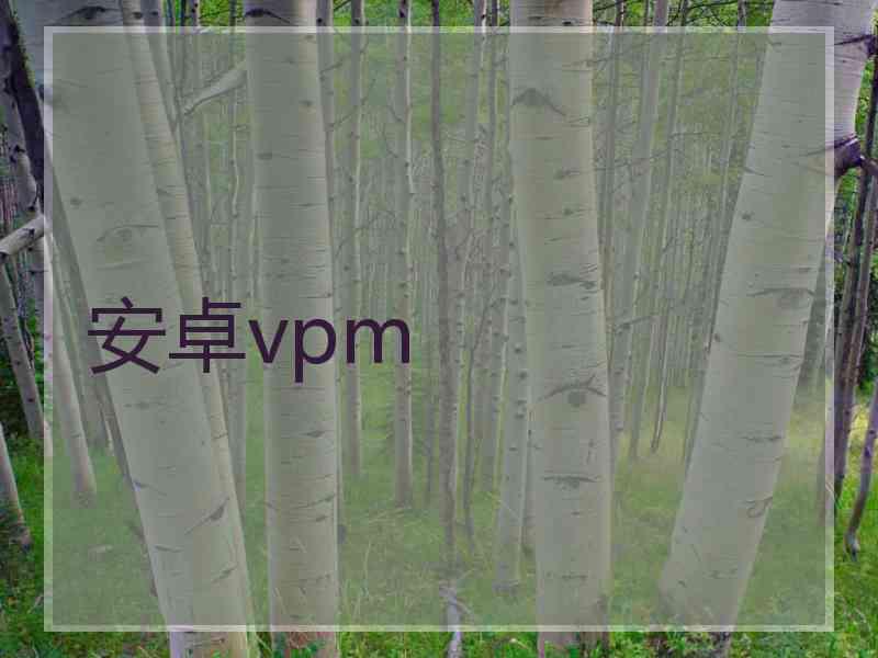 安卓vpm