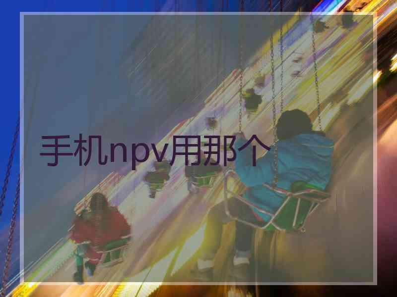 手机npv用那个