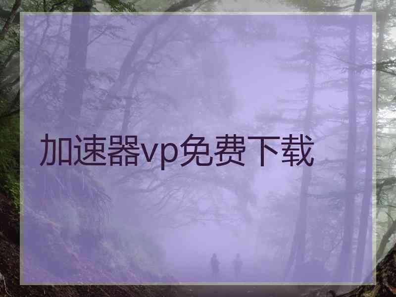 加速器vp免费下载