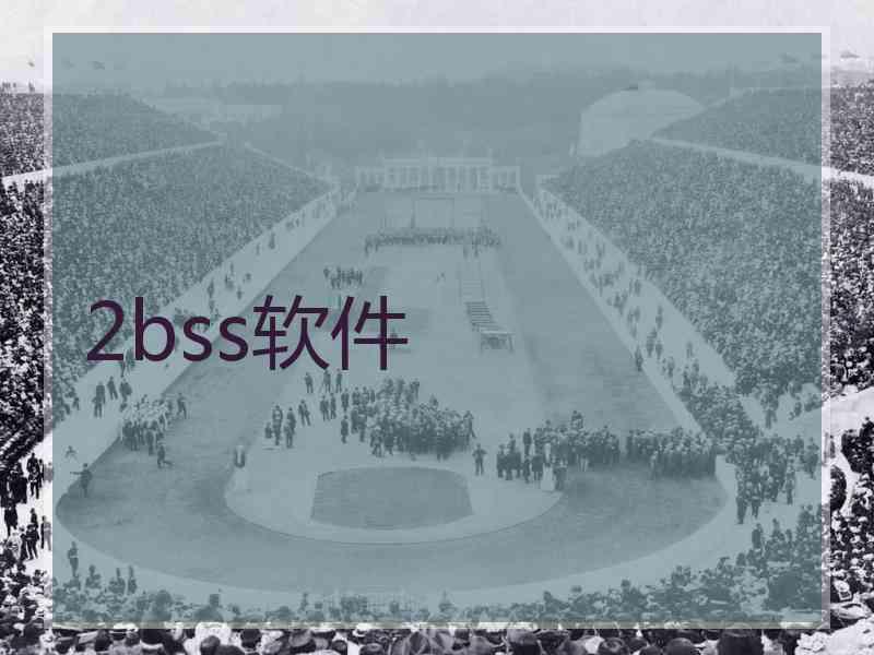 2bss软件