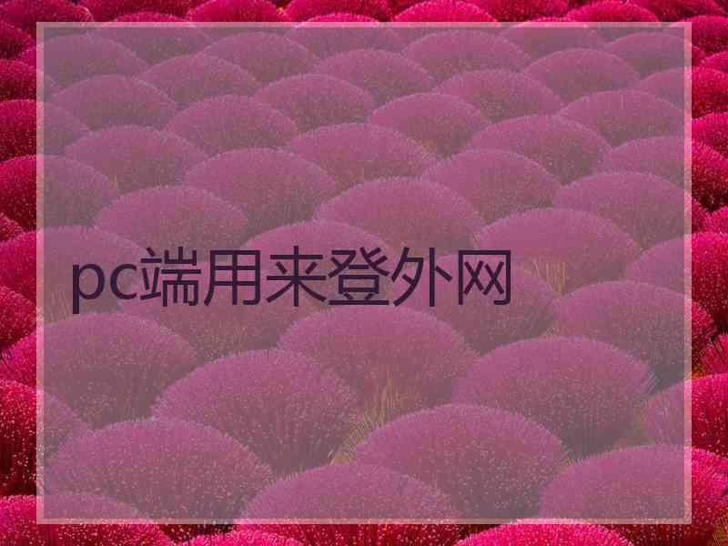 pc端用来登外网