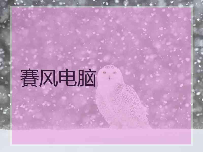 賽风电脑