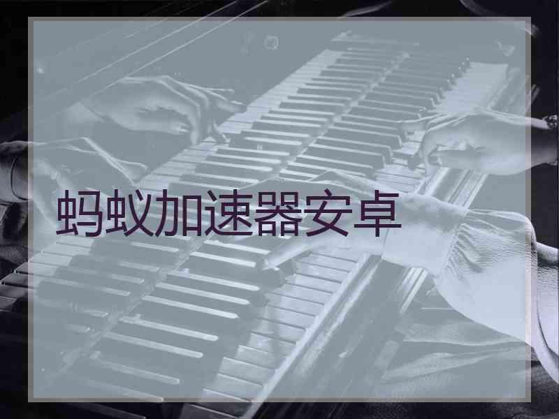 蚂蚁加速器安卓