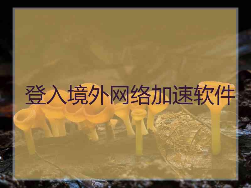 登入境外网络加速软件