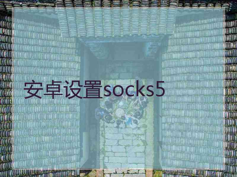 安卓设置socks5