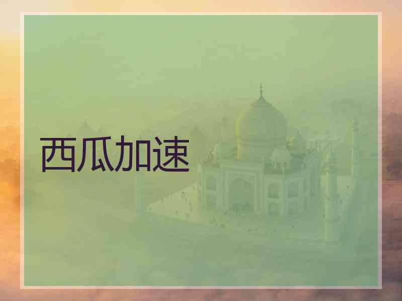 西瓜加速