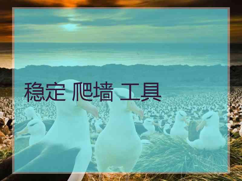 稳定 爬墙 工具