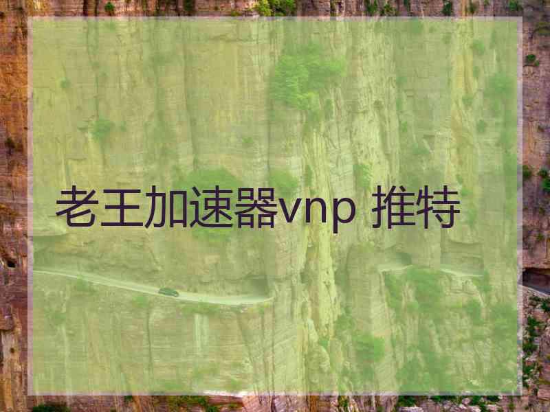 老王加速器vnp 推特