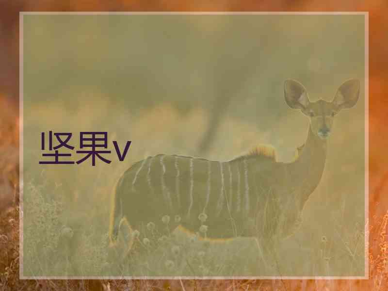 坚果v