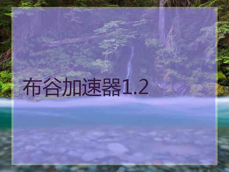 布谷加速器1.2